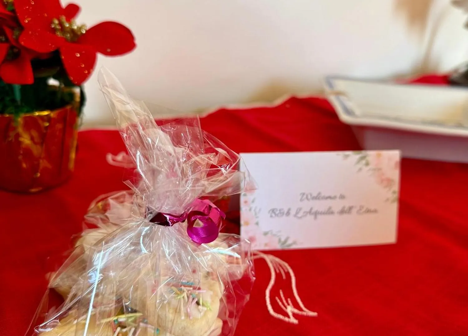 B&B L' Aquila dell' Etna Santa Venerina Bed & Breakfast